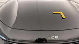 Peugeot 308 - photo 27